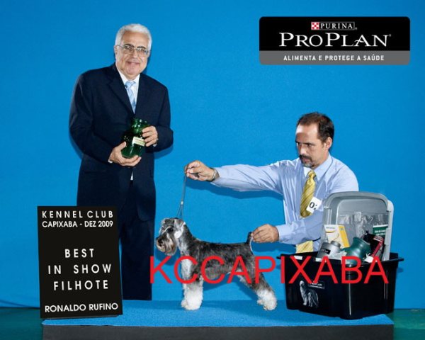 Clique sobre a foto para fechar